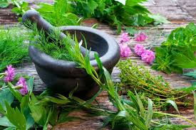 Medicinal Herbs